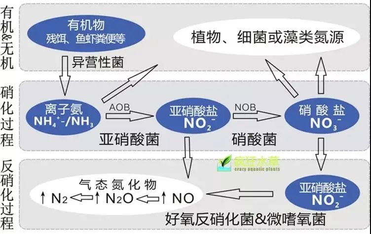 广东污水处理公司示范低浓度氨氮工业废水处理常见解决方案